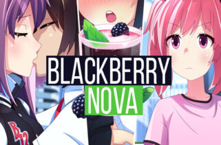 BlackberryNOVA Free Download By Worldofpcgames
