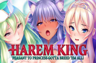 Harem King Peasant to Princess Gotta Breed Em All Free Download By Worldofpcgames